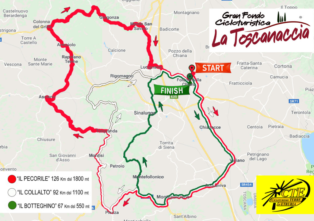 Toscanaccia 2019